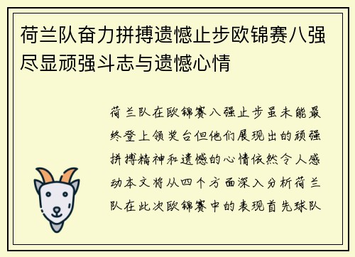 荷兰队奋力拼搏遗憾止步欧锦赛八强尽显顽强斗志与遗憾心情